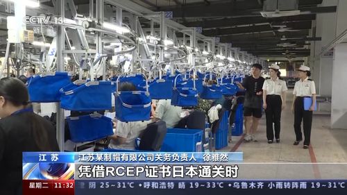 前7個月我國外貿運行平穩，貨物貿易進出口總值達23.55萬億元