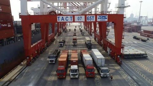 進(jìn)口美國紙箱的海運(yùn)提貨與清關(guān)代理全攻略