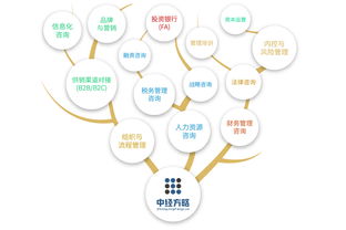 中經方略以 1 1 2推拉式戰(zhàn)略模型 創(chuàng)新咨詢服務