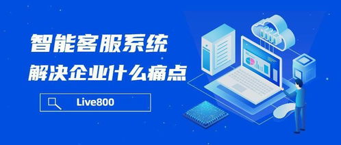 live800 智能客服系統(tǒng)解決企業(yè)什么痛點(diǎn)